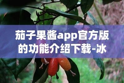 茄子果酱app官方版的功能介绍下载-冰淇淋机上的果酱功能怎么用v9.3.5免费官方版