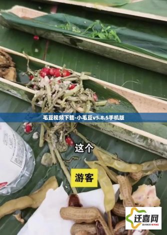 毛豆视频下载-小毛豆v5.8.5手机版