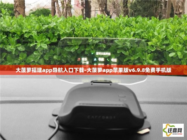 大菠萝福建app导航入口下载-大菠萝app苹果版v6.9.8免费手机版