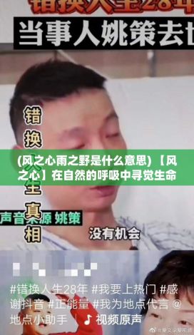 (风之心雨之野是什么意思) 【风之心】在自然的呼吸中寻觉生命的奥秘：何以为风，何以为心？探索风的起源与影响