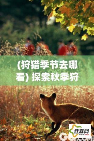 (狩猎季节去哪看) 探索秋季狩猎时刻：时间窗口与自然环境角度深入理解最佳狩猎时机