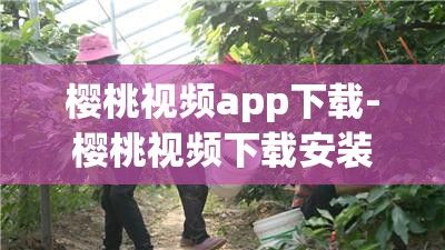 樱桃视频app下载-樱桃视频下载安装appv4.6.2最新版本