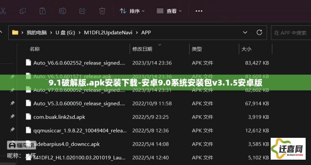 9.1破解版.apk安装下载-安卓9.0系统安装包v3.1.5安卓版