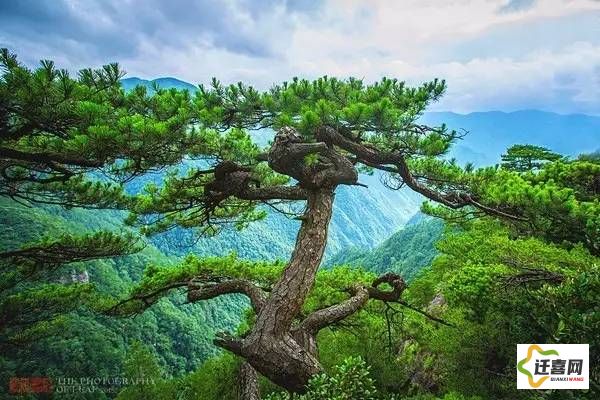 (招摇山又叫什么山) 梦启招摇山：探索自我与自然的共鸣，如何在迷茫中找到坚实的立足点